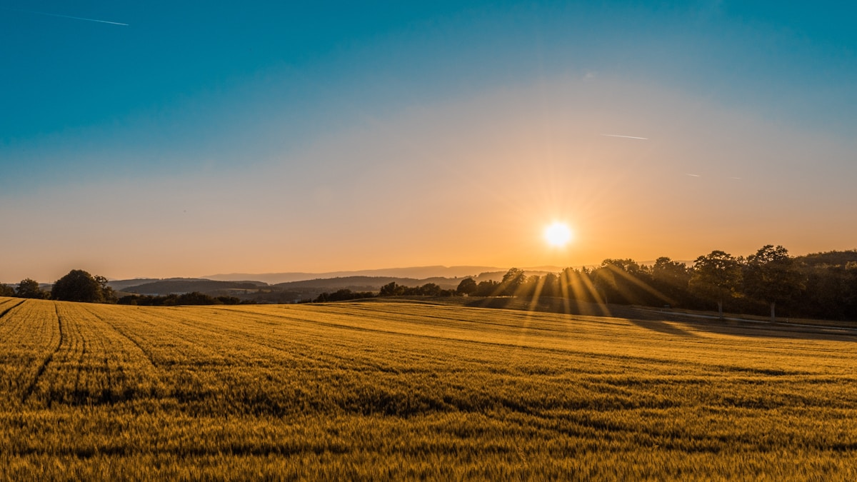 Agricultural AI